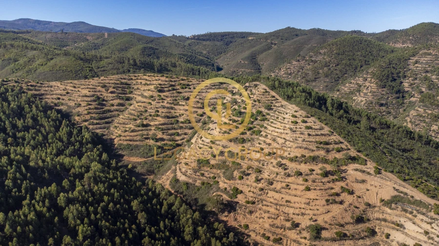 Terreno para Venda em Alferce