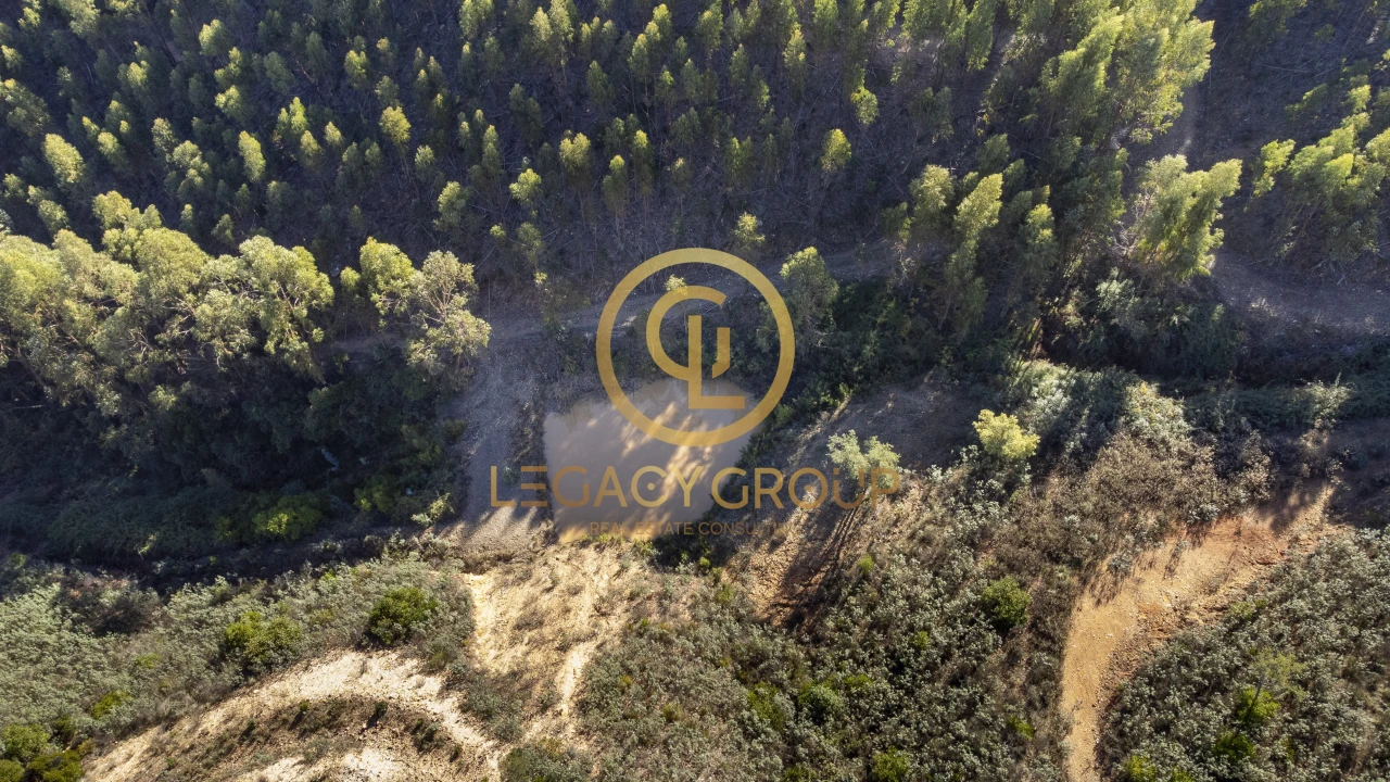 Terreno para Venda em Alferce Foto 14