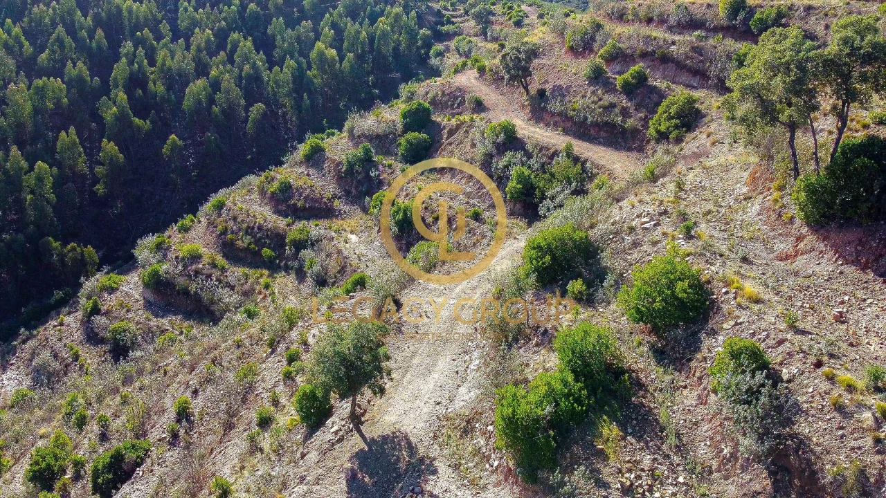 Terreno para Venda em Alferce Foto 16