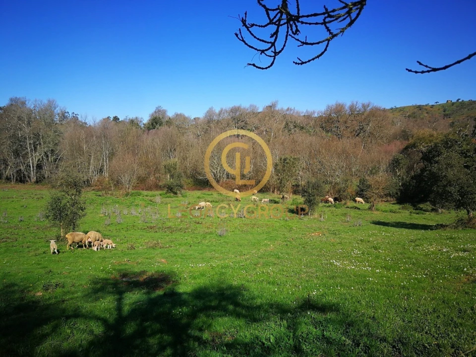 Quinta T3 para Venda em Boavista dos Pinheiros Foto 2