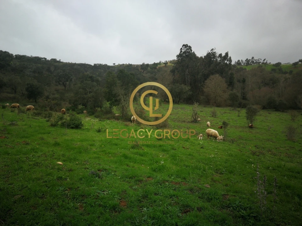 Quinta T3 para Venda em Boavista dos Pinheiros Foto 8