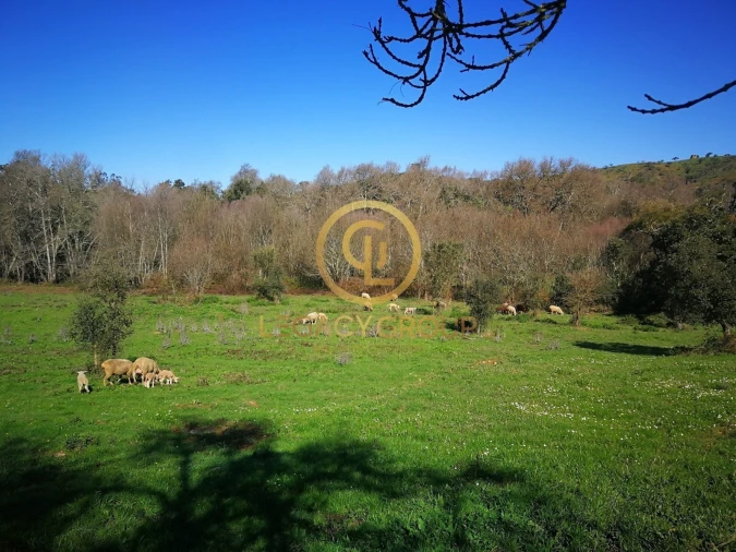 Quinta T3 para Venda em Boavista dos Pinheiros Foto 2