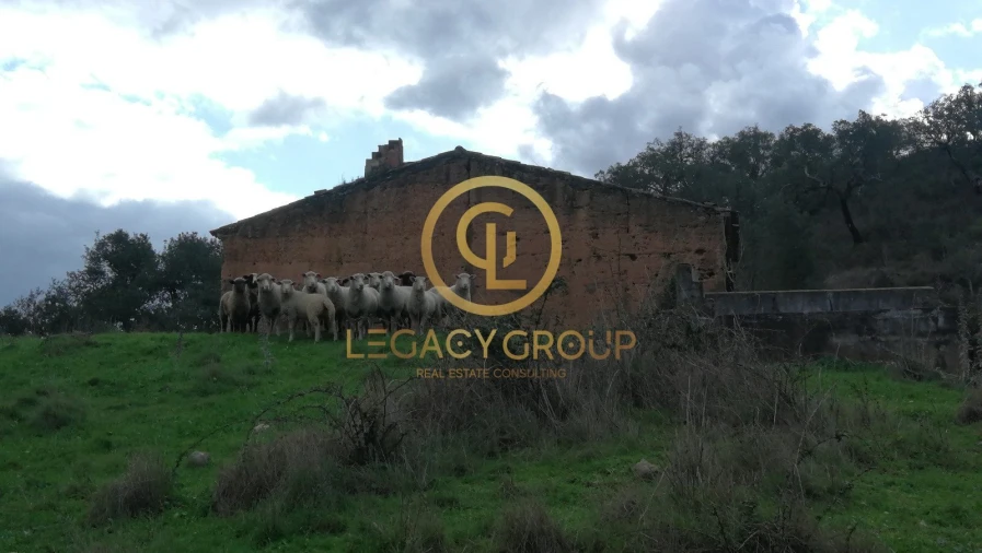 Quinta T3 para Venda em Boavista dos Pinheiros Foto 6