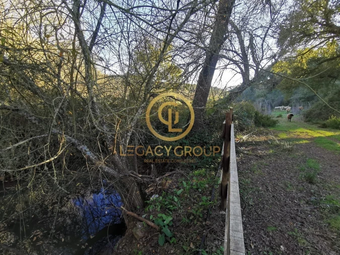 Quinta T3 para Venda em Boavista dos Pinheiros Foto 5