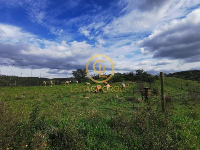 Quinta T3 para Venda em Boavista dos Pinheiros Foto 14