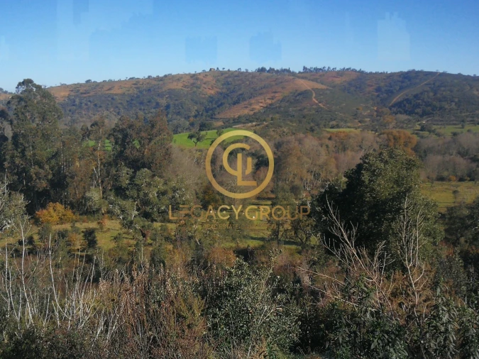 Quinta T3 para Venda em Boavista dos Pinheiros Foto 12