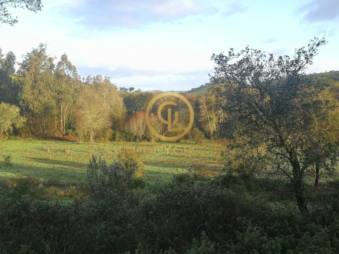 Quinta T3 para Venda em Boavista dos Pinheiros Foto 9