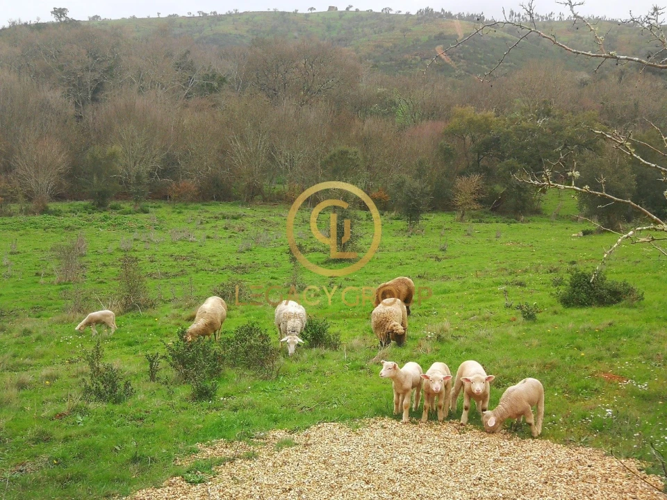 Quinta T3 para Venda em Boavista dos Pinheiros Foto 13