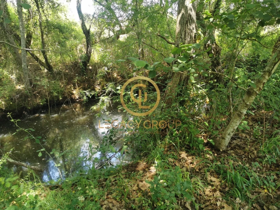 Quinta T3 para Venda em Boavista dos Pinheiros Foto 16