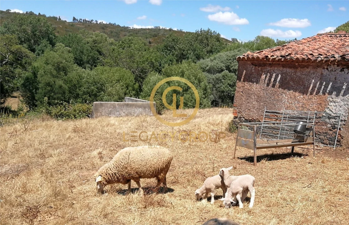 Quinta T3 para Venda em Boavista dos Pinheiros Foto 3