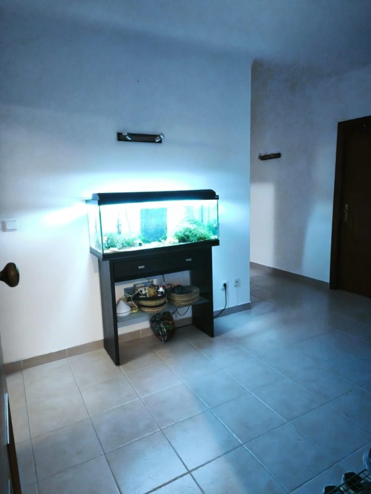 Apartamento T3 para Venda em Pego Foto 3