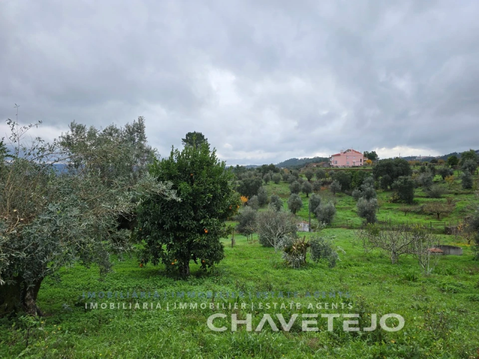 Moradia T3 para Venda em Serra e Junceira Foto 75