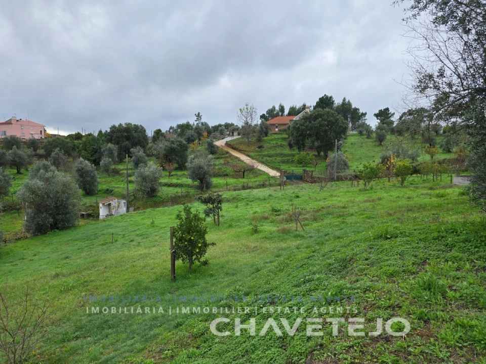 Moradia T3 para Venda em Serra e Junceira Foto 77