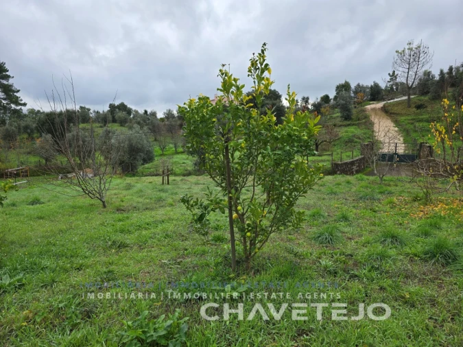 Moradia T3 para Venda em Serra e Junceira Foto 76