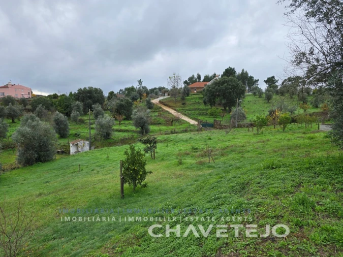 Moradia T3 para Venda em Serra e Junceira Foto 77