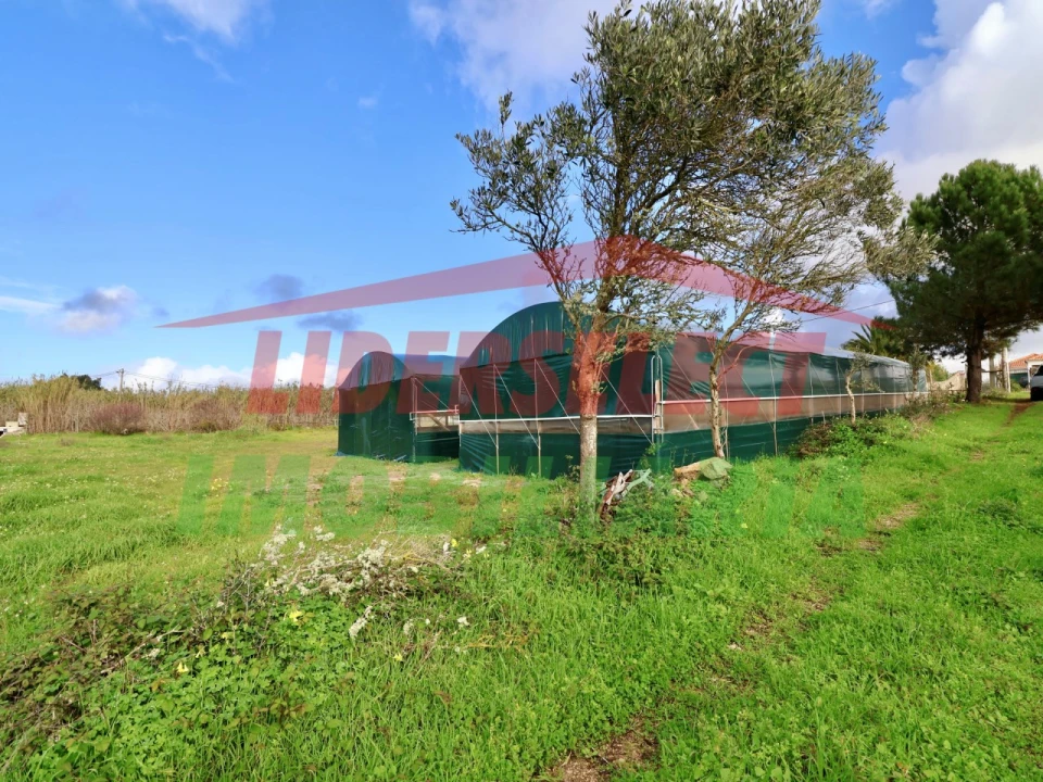 Terreno Agricola ou Rústico para Venda em Silveira Foto 3