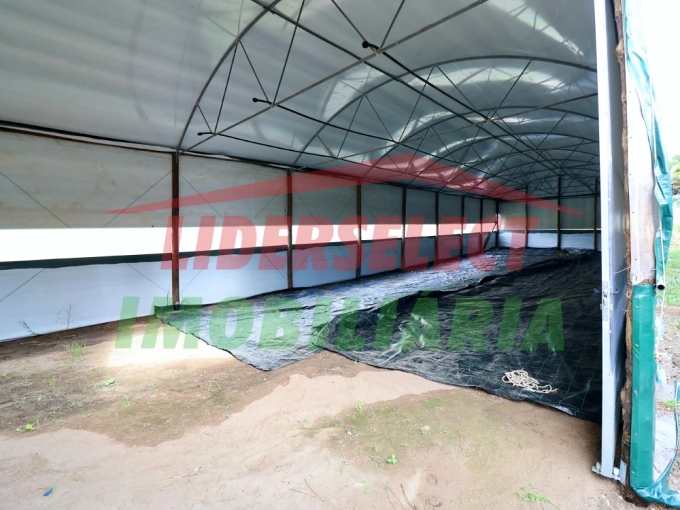 Terreno Agricola ou Rústico para Venda em Silveira Foto 5