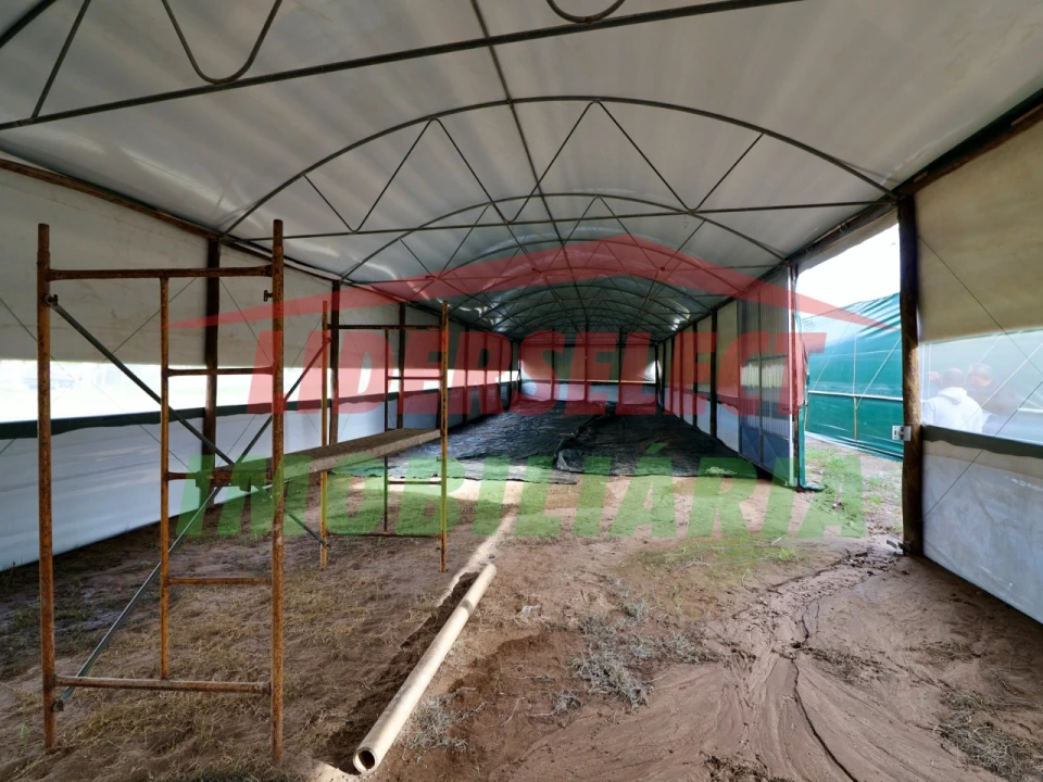 Terreno Agricola ou Rústico para Venda em Silveira Foto 6