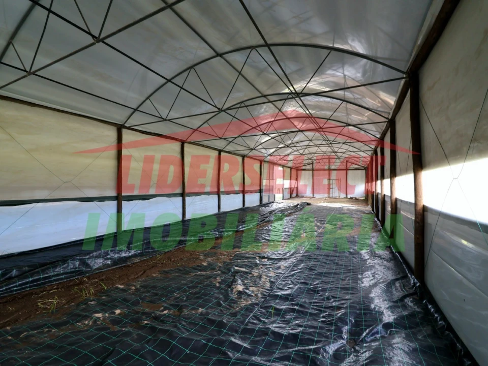 Terreno Agricola ou Rústico para Venda em Silveira Foto 7