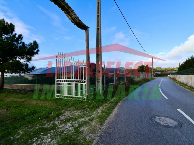 Terreno Agricola ou Rústico para Venda em Silveira Foto 2