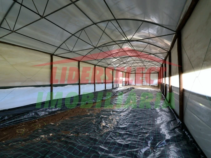 Terreno Agricola ou Rústico para Venda em Silveira Foto 7