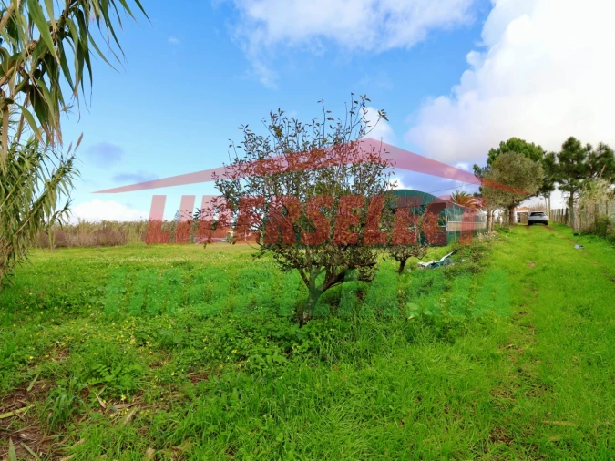 Terreno Agricola ou Rústico para Venda em Silveira Foto 14