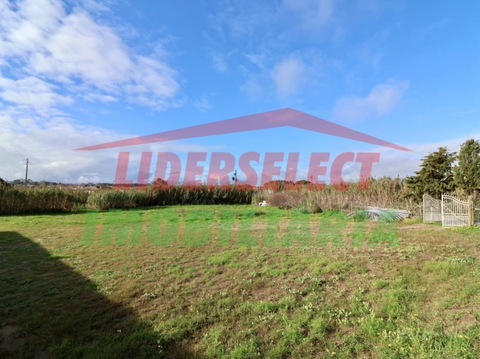 Terreno Agricola ou Rústico para Venda em Silveira Foto 17