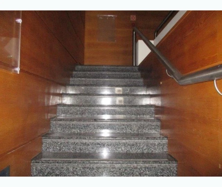 Loja para Venda em Águeda e Borralha Foto 11