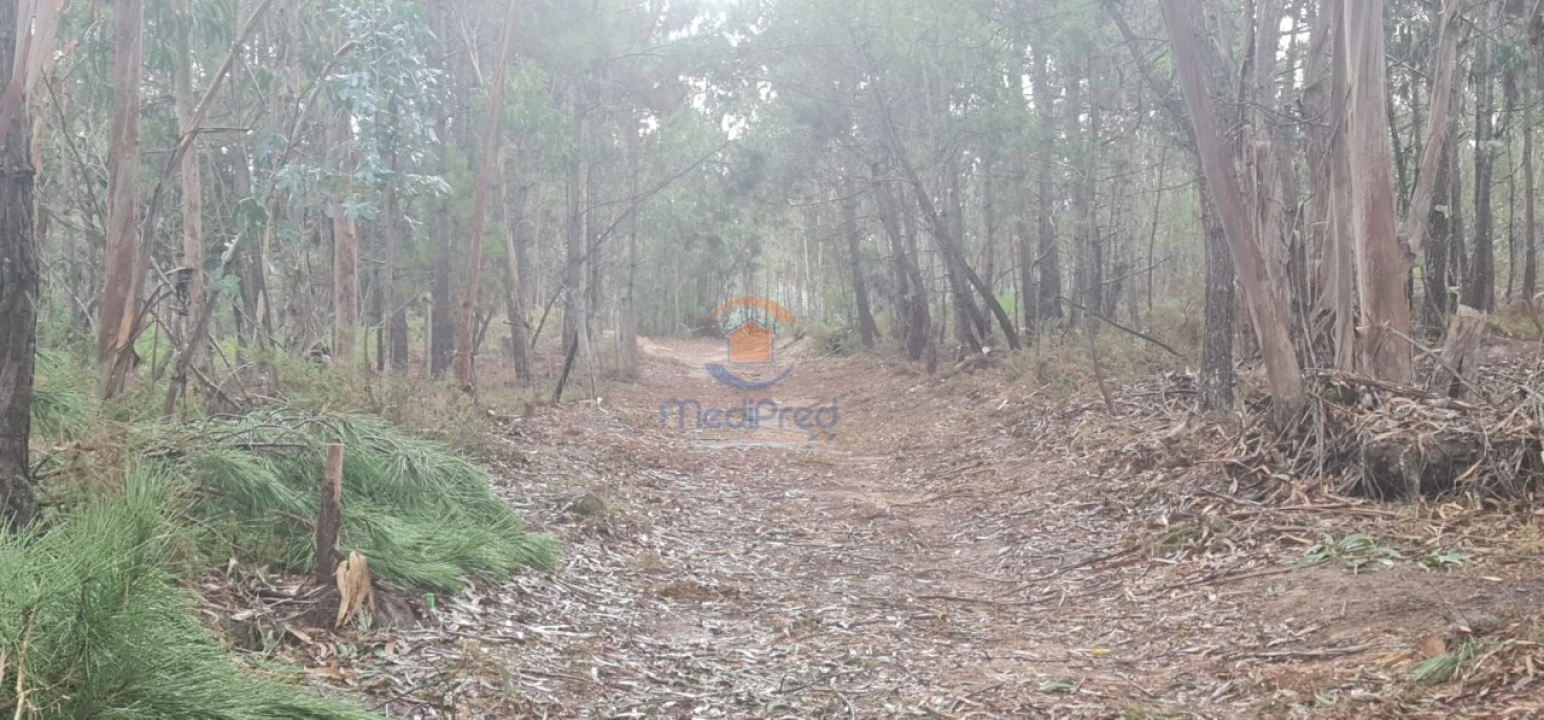 Terreno Agricola ou Rústico para Venda em Silveira Foto 6