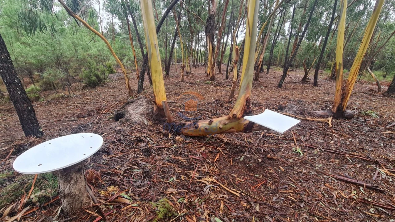 Terreno Agricola ou Rústico para Venda em Silveira Foto 1