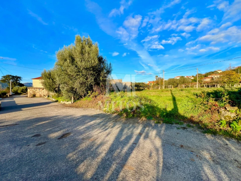 Terreno para Venda em Subportela, Deocriste e Portela Susã Foto 1