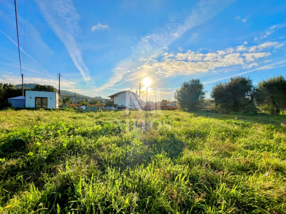 Terreno para Venda em Subportela, Deocriste e Portela Susã Foto 2