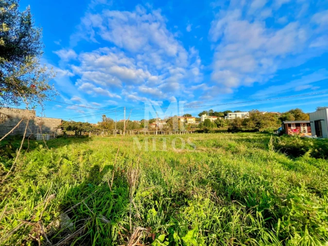 Terreno para Venda em Subportela, Deocriste e Portela Susã Foto 4