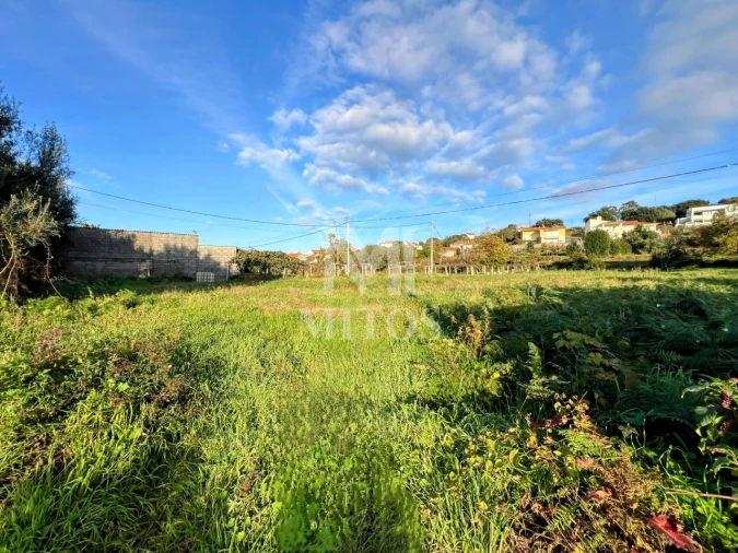 Terreno para Venda em Subportela, Deocriste e Portela Susã Foto 5