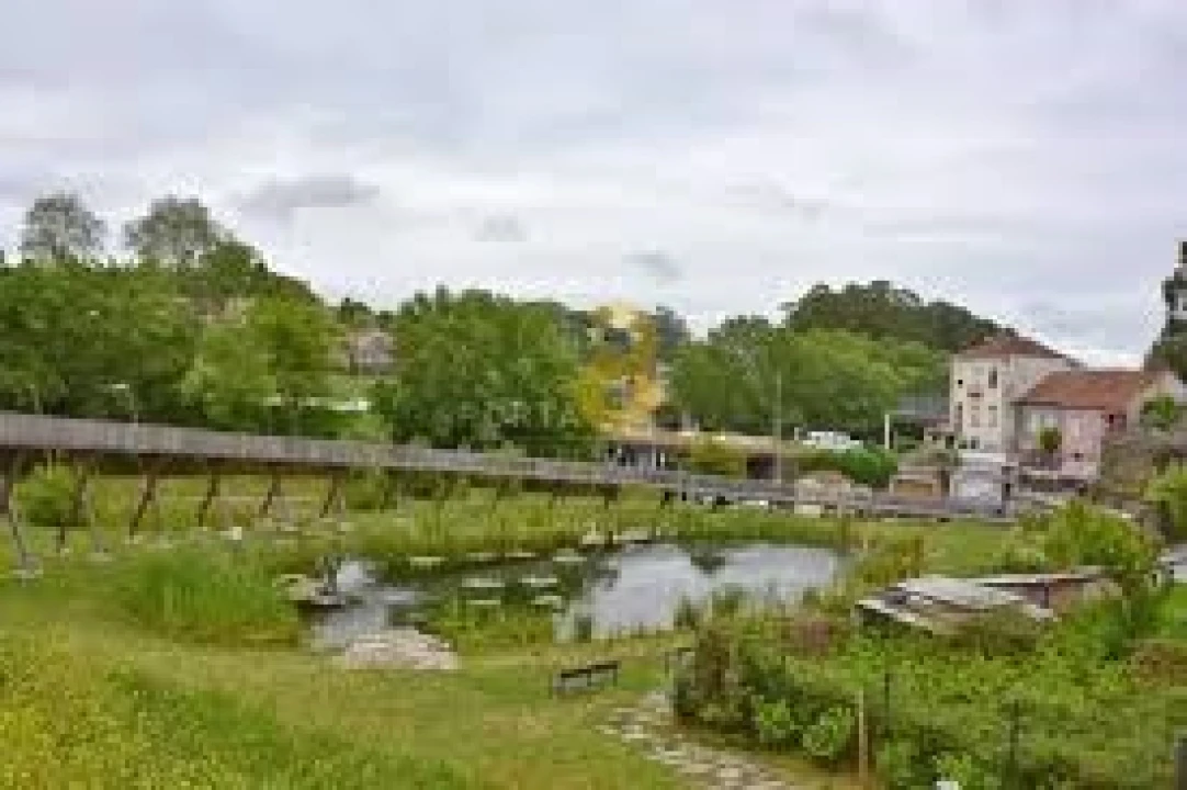 Terreno para Venda em Campanhã Foto 13