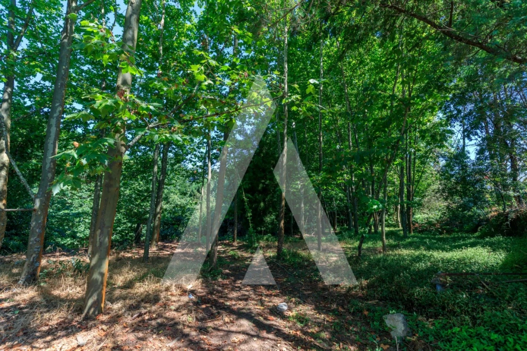 Quinta T4 para Venda em Abragão Foto 9