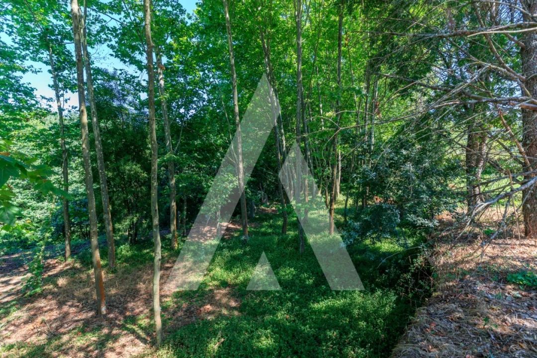 Quinta T4 para Venda em Abragão Foto 10