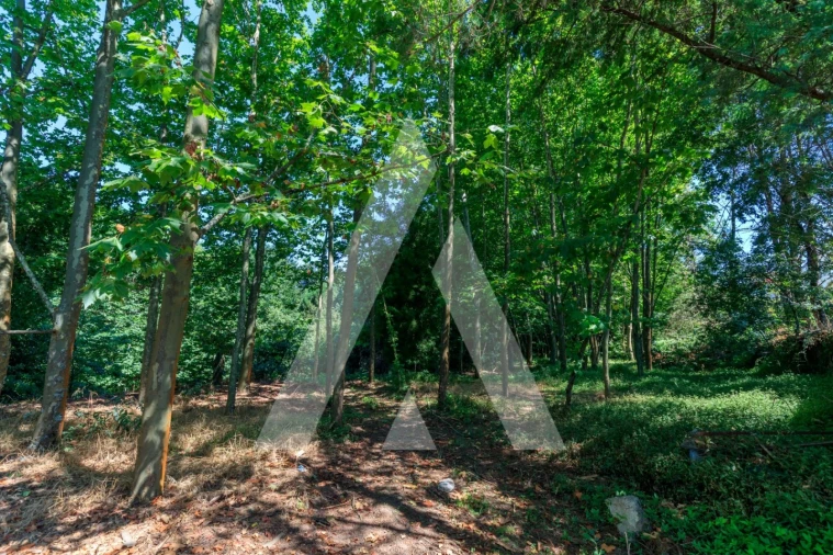 Quinta T4 para Venda em Abragão Foto 9