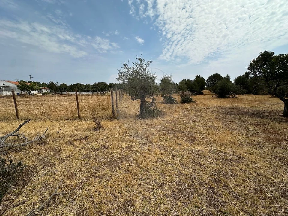 Terreno para Venda em Silves Foto 9
