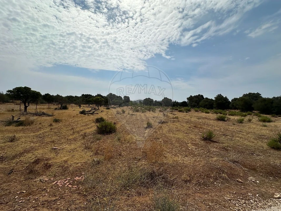 Terreno para Venda em Silves Foto 6