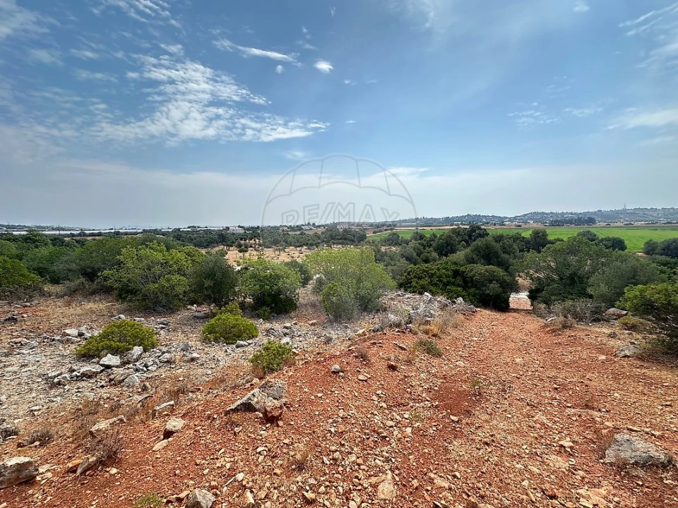 Terreno para Venda em Silves Foto 2
