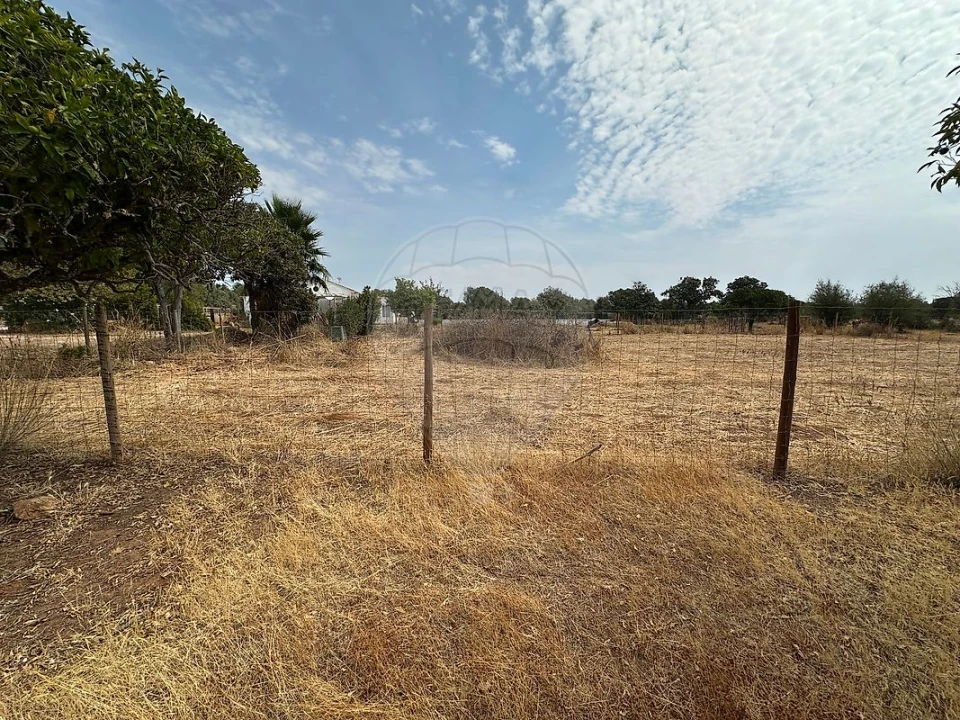 Terreno para Venda em Silves Foto 8