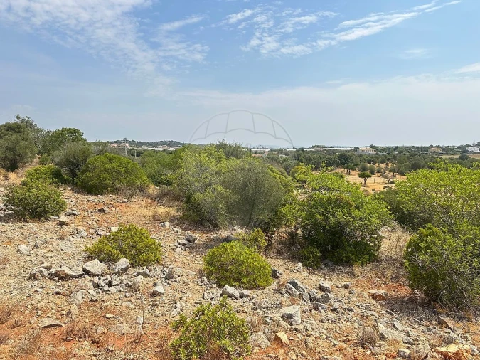 Terreno para Venda em Silves Foto 4