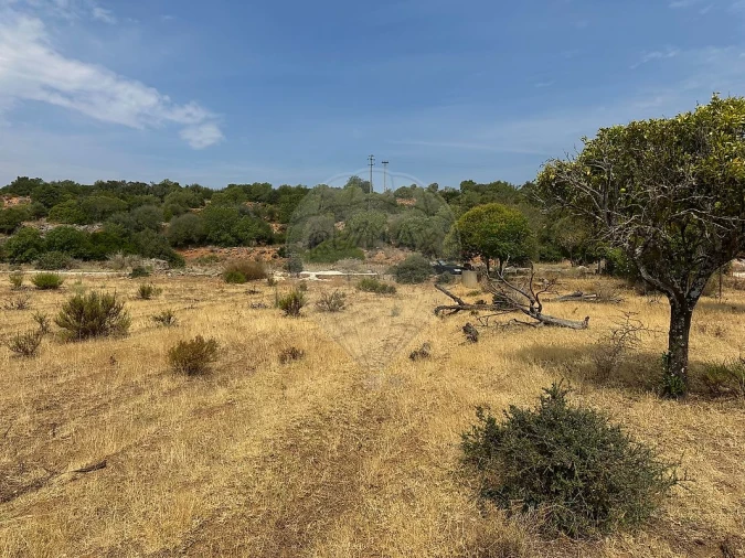 Terreno para Venda em Silves Foto 3