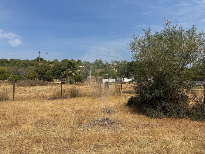 Terreno para Venda em Silves Foto 5