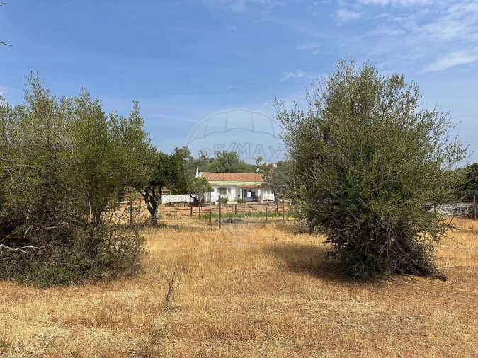 Terreno para Venda em Silves Foto 10