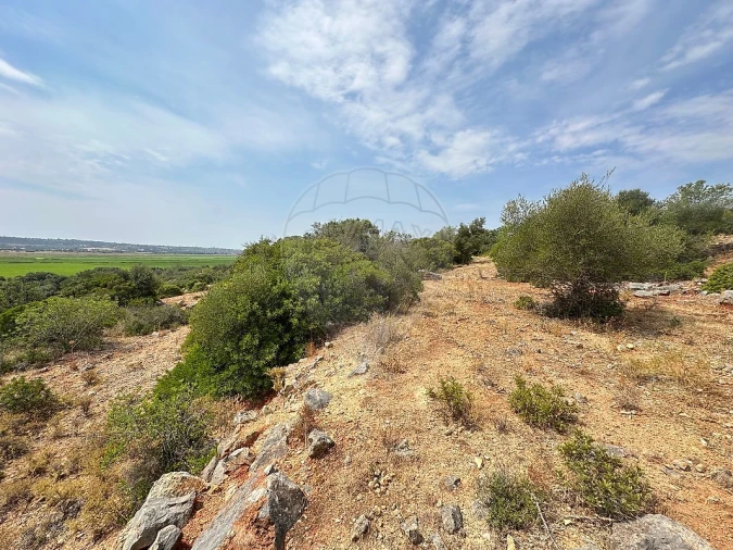 Terreno para Venda em Silves