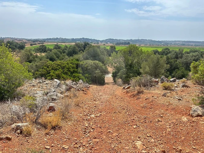 Terreno para Venda em Silves Foto 7