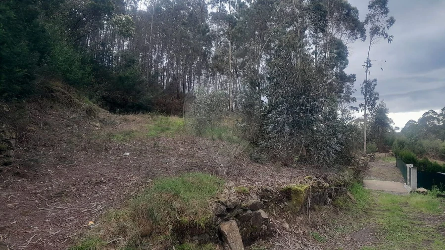 Terreno para Venda em Fermedo Foto 4