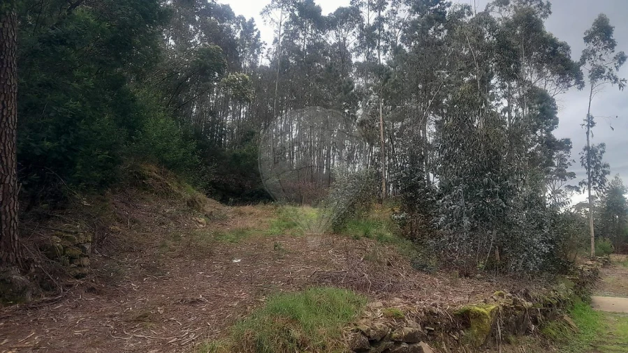 Terreno para Venda em Fermedo Foto 7